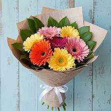 Букет цветов из:  Герберы #REPLACE_PRED# Путилково