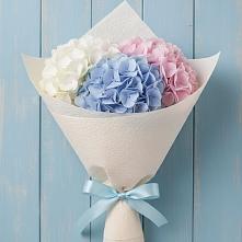 Букет цветов из:  Гортензия в Путилково