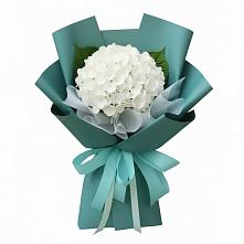 Букет цветов из:  Гортензия #REPLACE_PRED# Путилково
